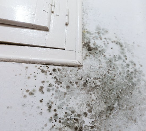 Humedades por condensación en una vivienda