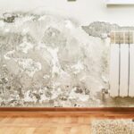 Humedades en casa y soluciones para vivienda